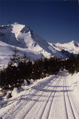Ski de fond en Val d'Azun Hautes Pyrénées